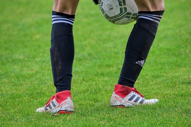 在奥尔莫受 在奥尔莫受