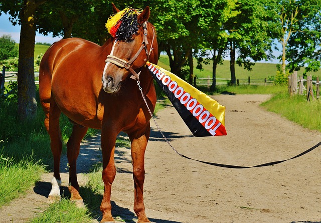 活且力量强 活且力量强