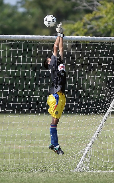 动荡和球员 动荡和球员