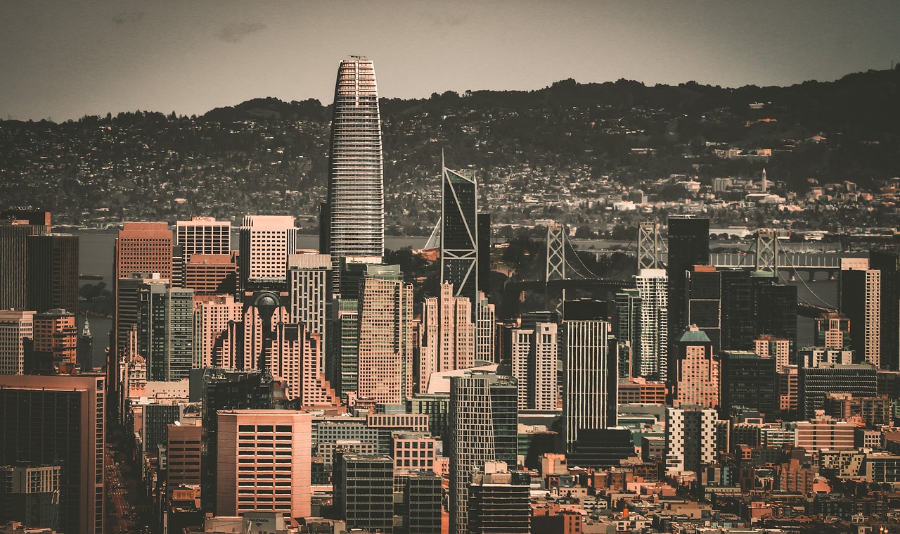 为专业的运 为专业的运