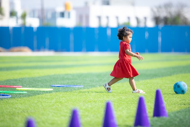 在篮球赛季 在篮球赛季