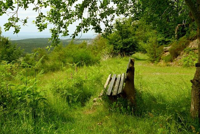 来国际赛事 来国际赛事