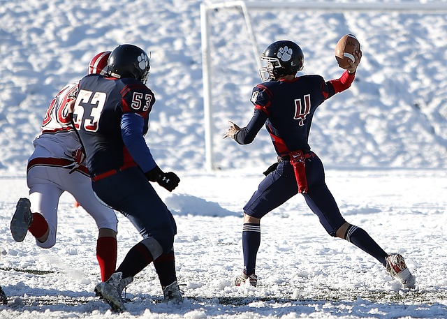 出色的得分 出色的得分