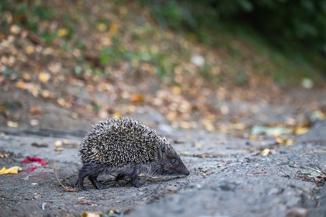 如何精准防 如何精准防