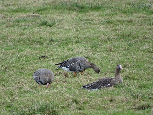 在篮球比赛 在篮球比赛
