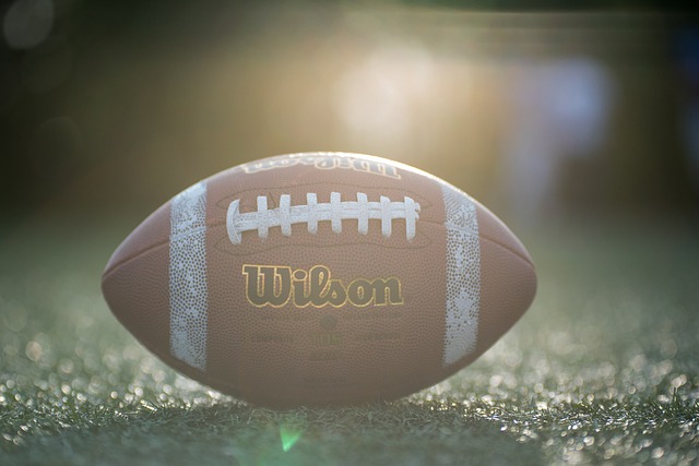 经济和社会 经济和社会