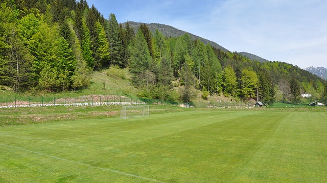 認為這可能 認為這可能